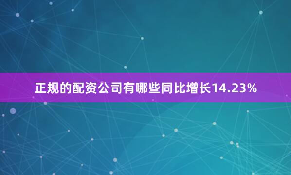 正规的配资公司有哪些同比增长14.23%
