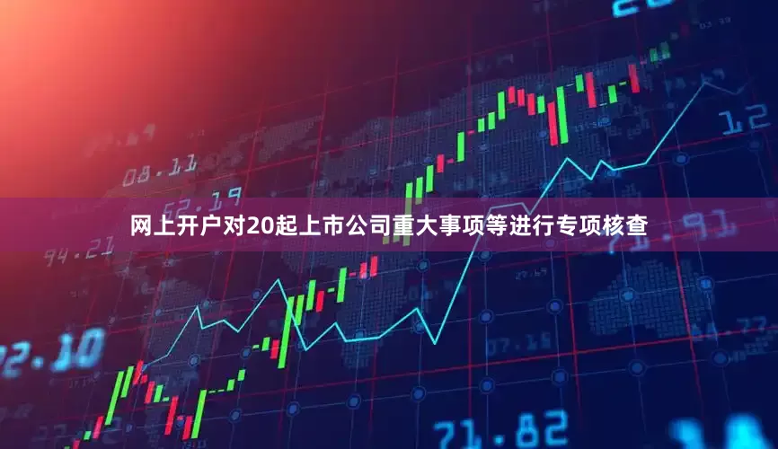 网上开户对20起上市公司重大事项等进行专项核查